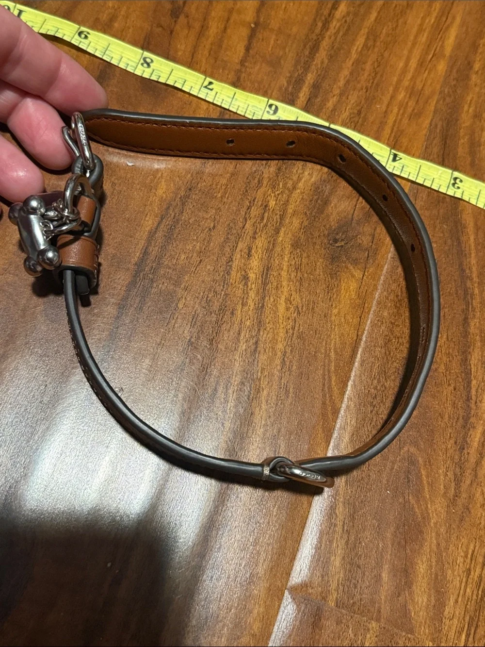 Coach Signature Canvas Dog Collar with Tan Leather Trim and Silver Charms